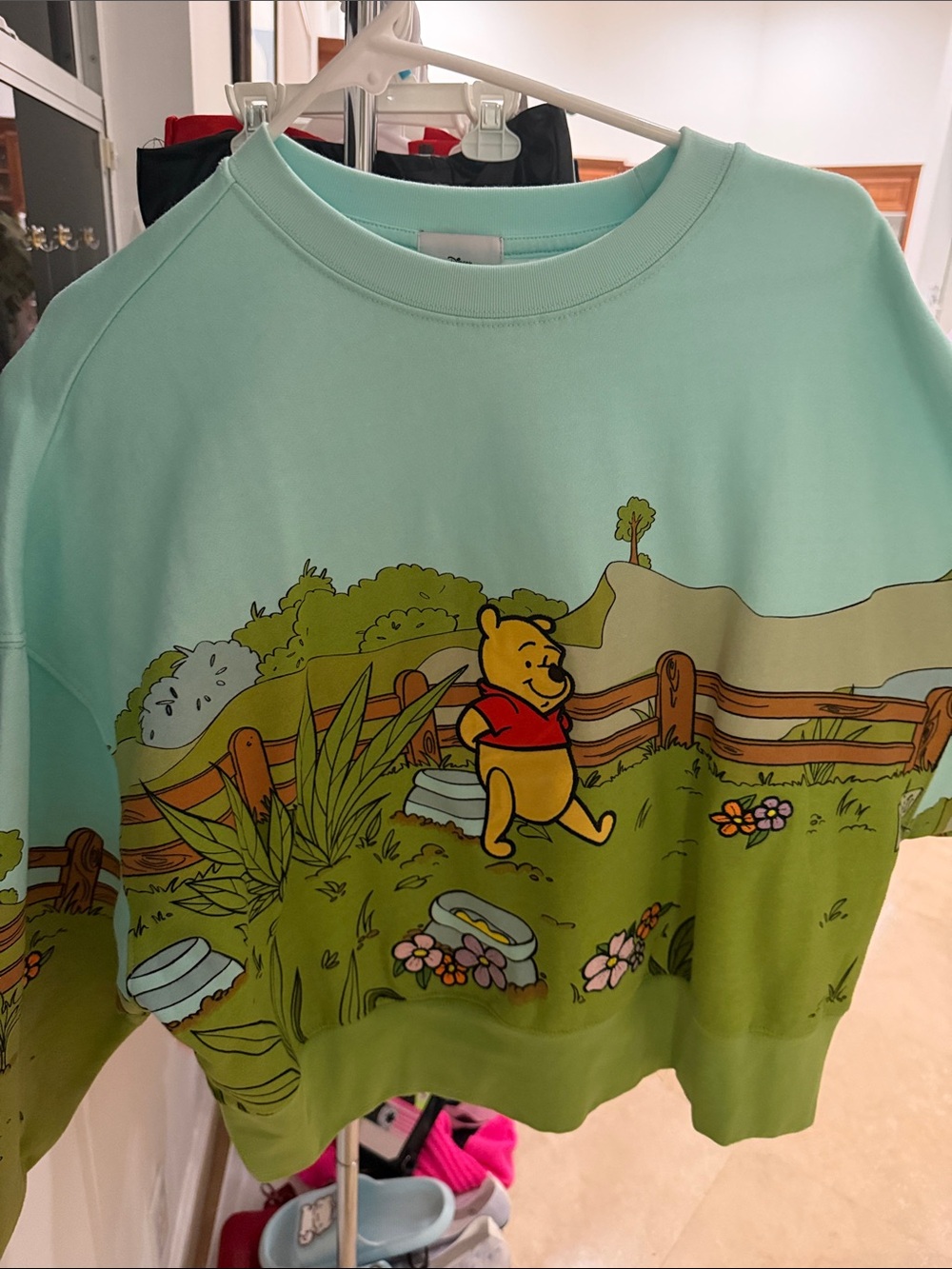 Disney Mint Green Winnie the Pooh Graphic Sweatshirt